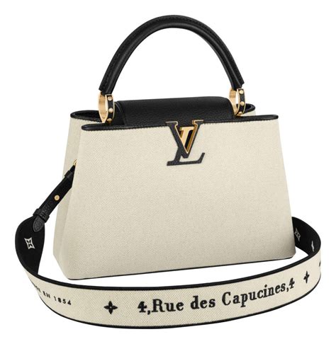 styling lv capucine bag|louis vuitton capucine bag price.